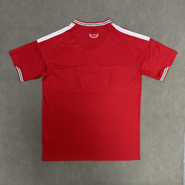 26-27年威爾士主場S-4XL