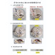 【6個款式，帶圖詢價】VS廠V2升級配重版勞力士40mm星期日曆型DD系列 獨家丹東3255一體機芯