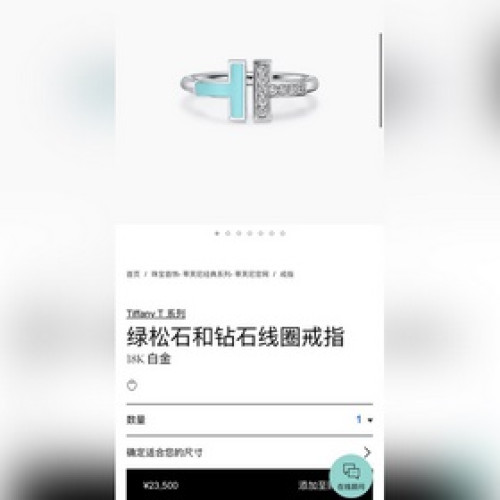 -專櫃圖 佩戴圖-Tiffany&co 蒂芙尼 經典款T字系列 綠松石帶鑽銀色