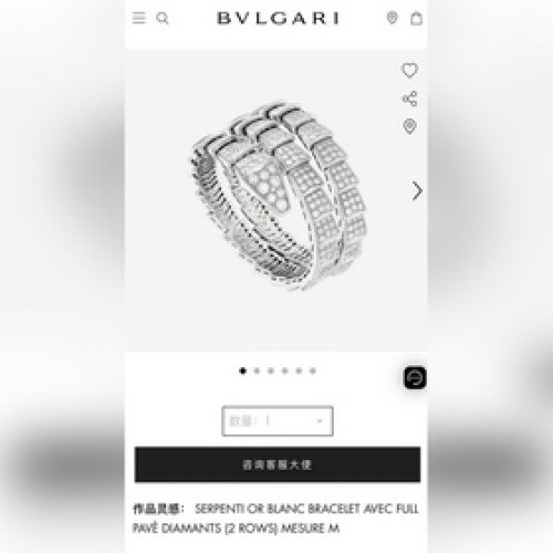 -專櫃圖 佩戴圖-BVLGARI寶格麗三層滿鑽蛇骨手镯手環