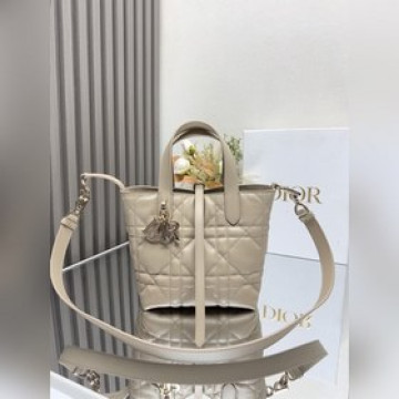 這款 Dior Toujours豎版手袋是二零二五早春成衣系列新品，時尚實用，别