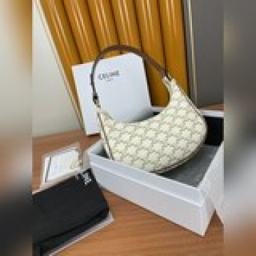 私貨～正品級2023老花包的新王炸 CLINE  AVA TRIOMPHE帆布