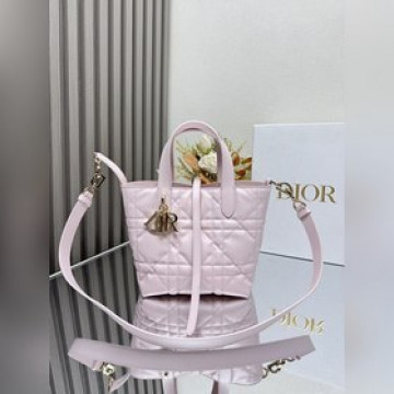 這款 Dior Toujours豎版手袋是二零二五早春成衣系列新品，時尚實用，别