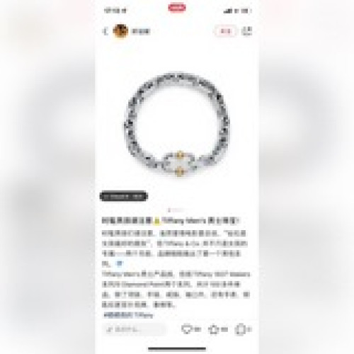 蒂芙尼Tiffany新款鍊結式粗款金屬質感手鍊 男款女款情侶款手鍊 金銀兩個色