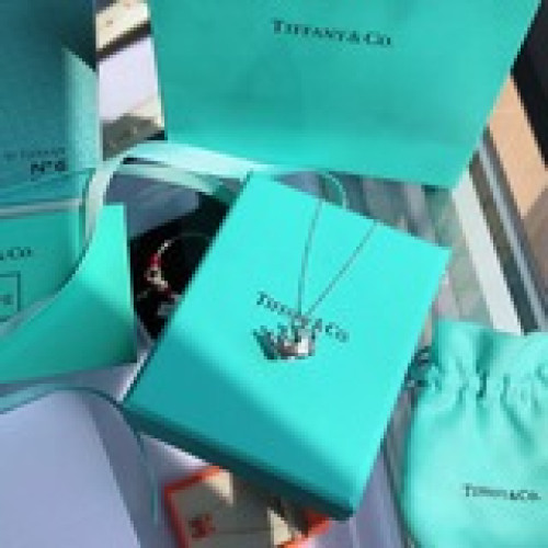 蒂芙尼TIFFANY 皇冠素銀銀項鍊，鍊長41cm。火熱的Tbao爆款