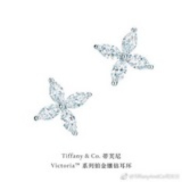 925女神系列 蒂芙尼馬眼耳釘，優雅氣質款，性價比超高  市面最高版本通體925