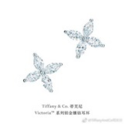 925女神系列 蒂芙尼馬眼耳釘，優雅氣質款，性價比超高  市面最高版本通體925