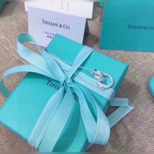 蒂芙尼Tiffany&Co.（1837雙環）項鍊，這款典雅迷人的圓形 頂級版