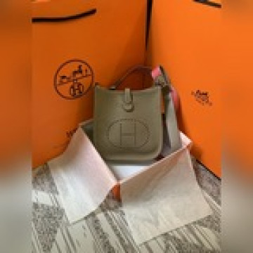 evelyne mini  百搭夏季炸街款 伊芙琳迷你  togo 進口牛皮 手
