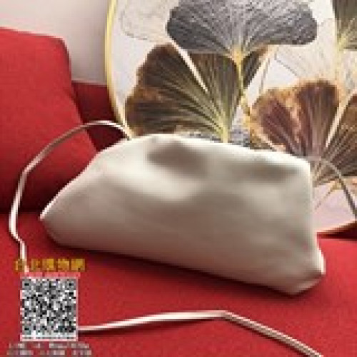 新款 感滿屏的Bottega veneta.餃子包大號，它還有一個更溫油