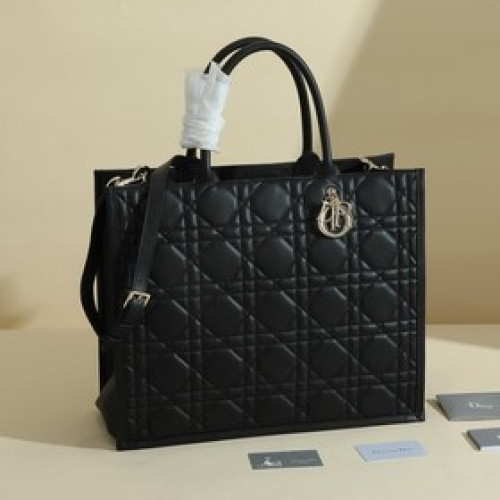 這款 dior 手袋是 dior 全新推出的主打單品，于二零二三秋冬成衣系列發布