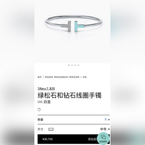 -專櫃圖 佩戴圖-Tiffany&co 蒂芙尼 經典款T字系列 綠松帶鑽銀色雙