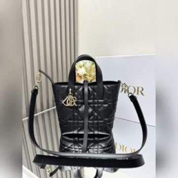 這款 Dior Toujours豎版手袋是二零二五早春成衣系列新品，時尚實用，别