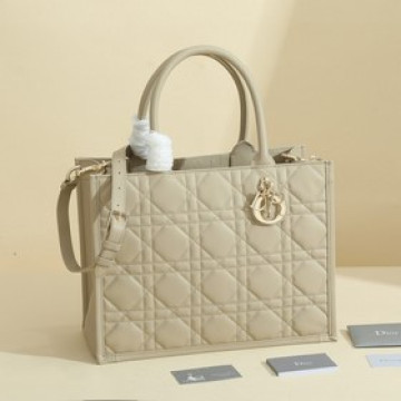 這款 dior 手袋是 dior 全新推出的主打單品，于二零二三秋冬成衣系列發布