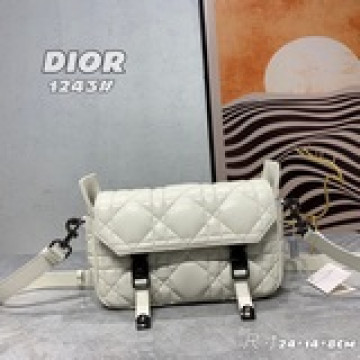 配盒子秋款 diorcam 郵差包 這款 diorcam 手袋由瑪麗亞·嘉茜娅·