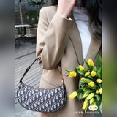 這款 CD Lounge 手袋是二零二三年夏季，彰顯Dior 的現代宙美與高