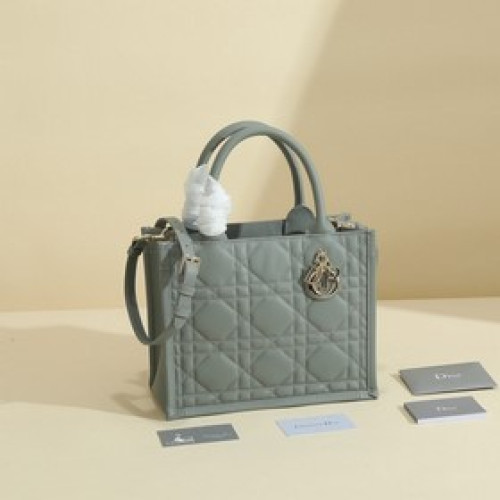 這款 dior 手袋是 dior 全新推出的主打單品，于二零二三秋冬成衣系列發布